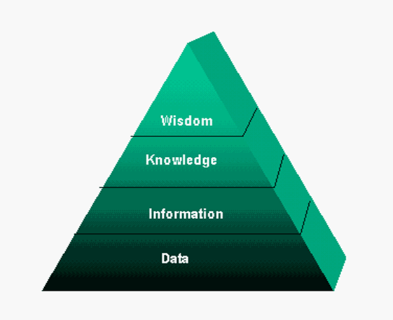 هرم دانش در مدیریت دانش