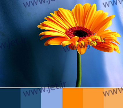 هارمونی رنگ های مکمل آبی و نارنجی
