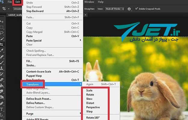 چرخاندن قسمتی از عکس در فوتوشاپ - مرحله سوم