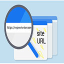 آدرس URL چیست؟ ساختار URL چگونه است؟