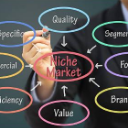 بازاریابی نیچ مارکتینگ niche marketing چیست؟